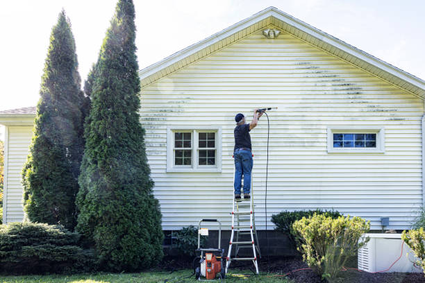 Best Affordable Power Washing  in Wickes, AR
