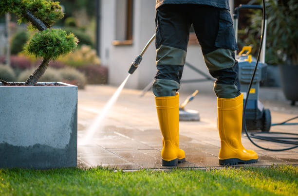 Best Roof Pressure Washing  in Wickes, AR